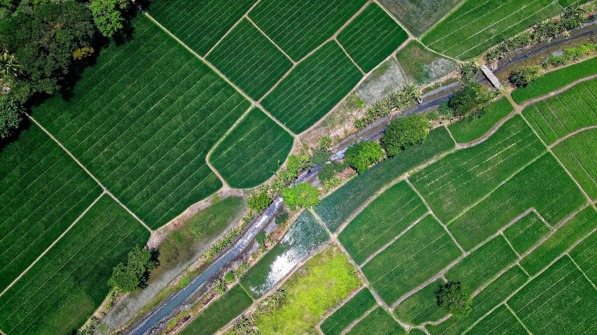 TRANSFORM YOUR YARD WITH PROFESSIONAL IRRIGATION SERVICES IN ARLINGTON, TX