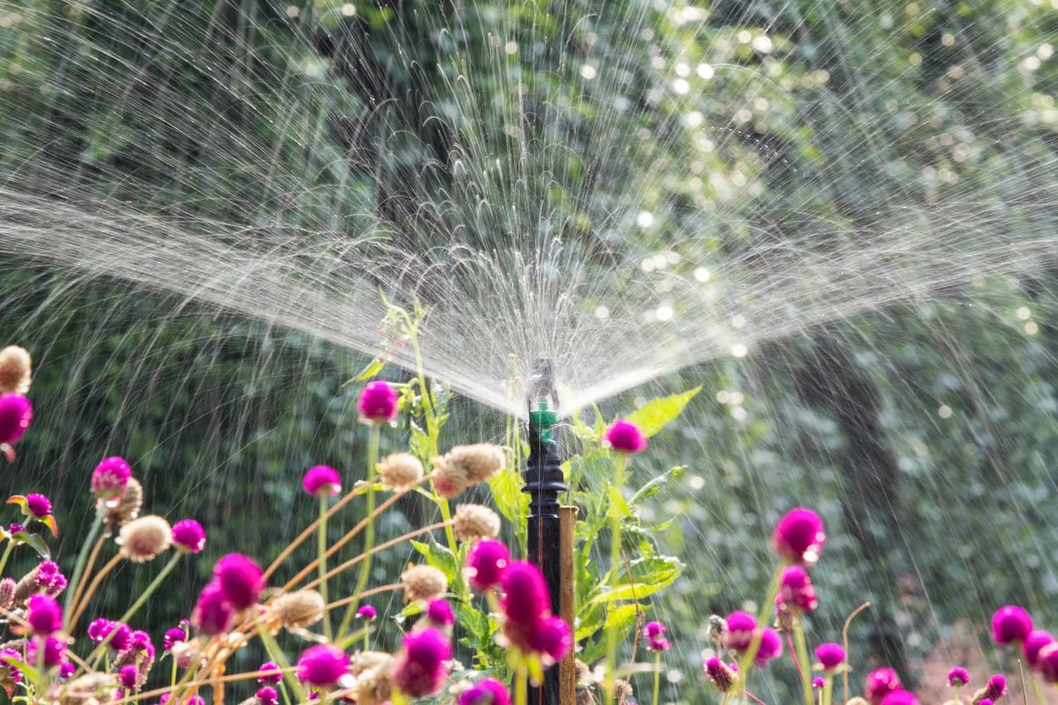 Professional Irrigation Services in Springtown, TX for Repairs and Installations