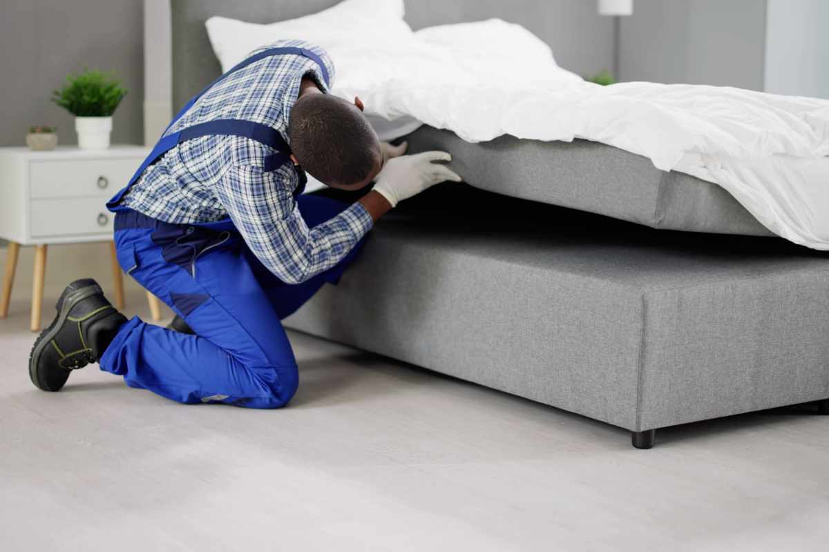 Professional Mattress Cleaning Dubai – Deep Steam Cleaning Experts