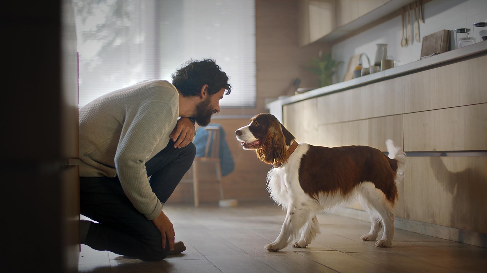 Vet Home Certs: Get Your AHC Before You Leave