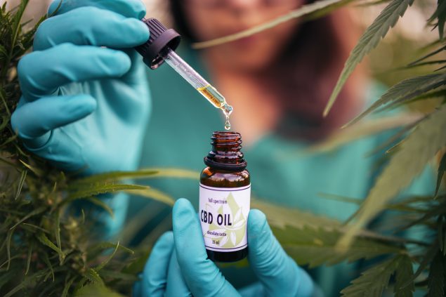 Clubs Cannabis Madrid: Your Guide to the Best Marijuana Madrid Experiences