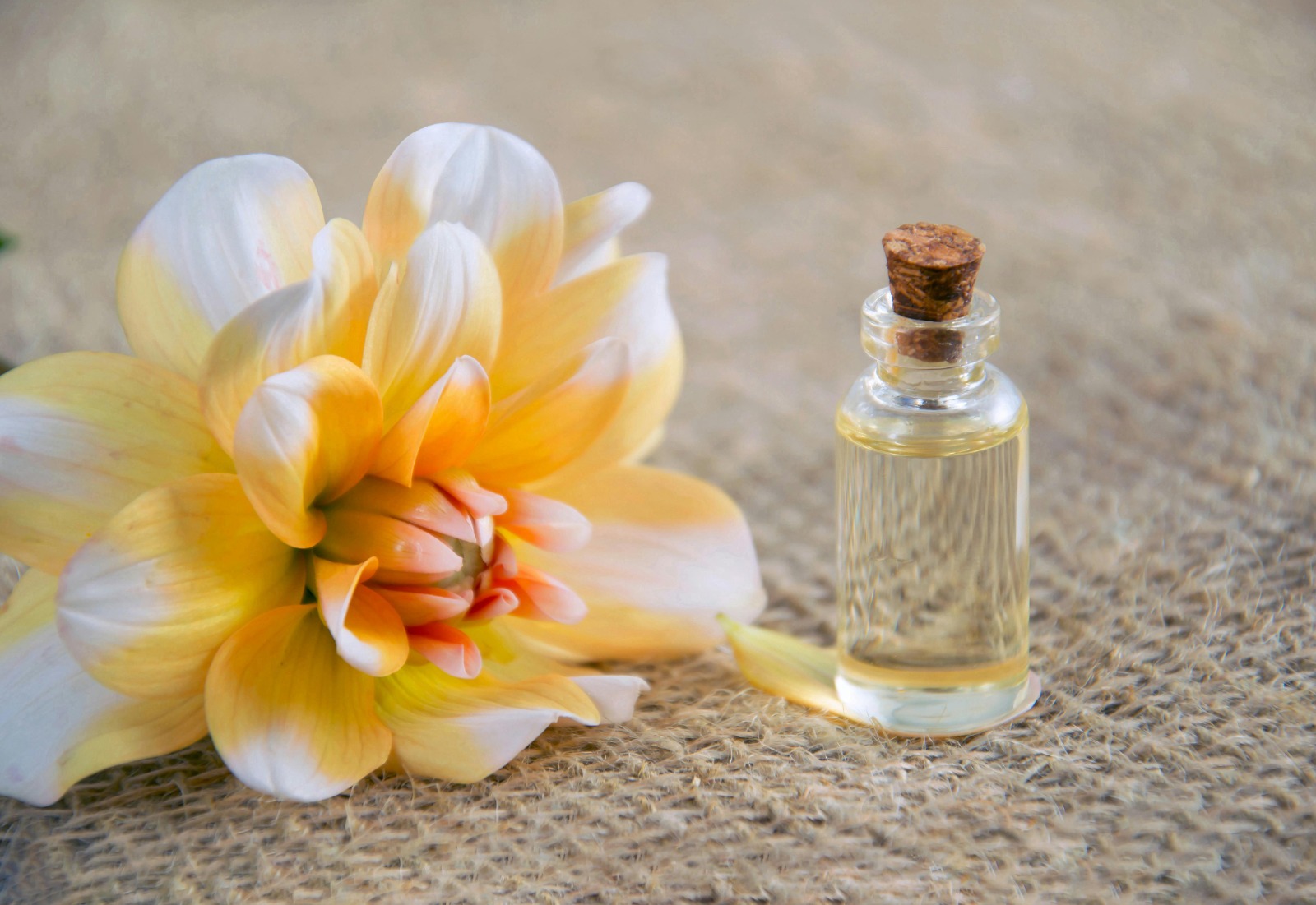 Jimmy Choo I Want Choo Review: The Ultimate Party Perfume
