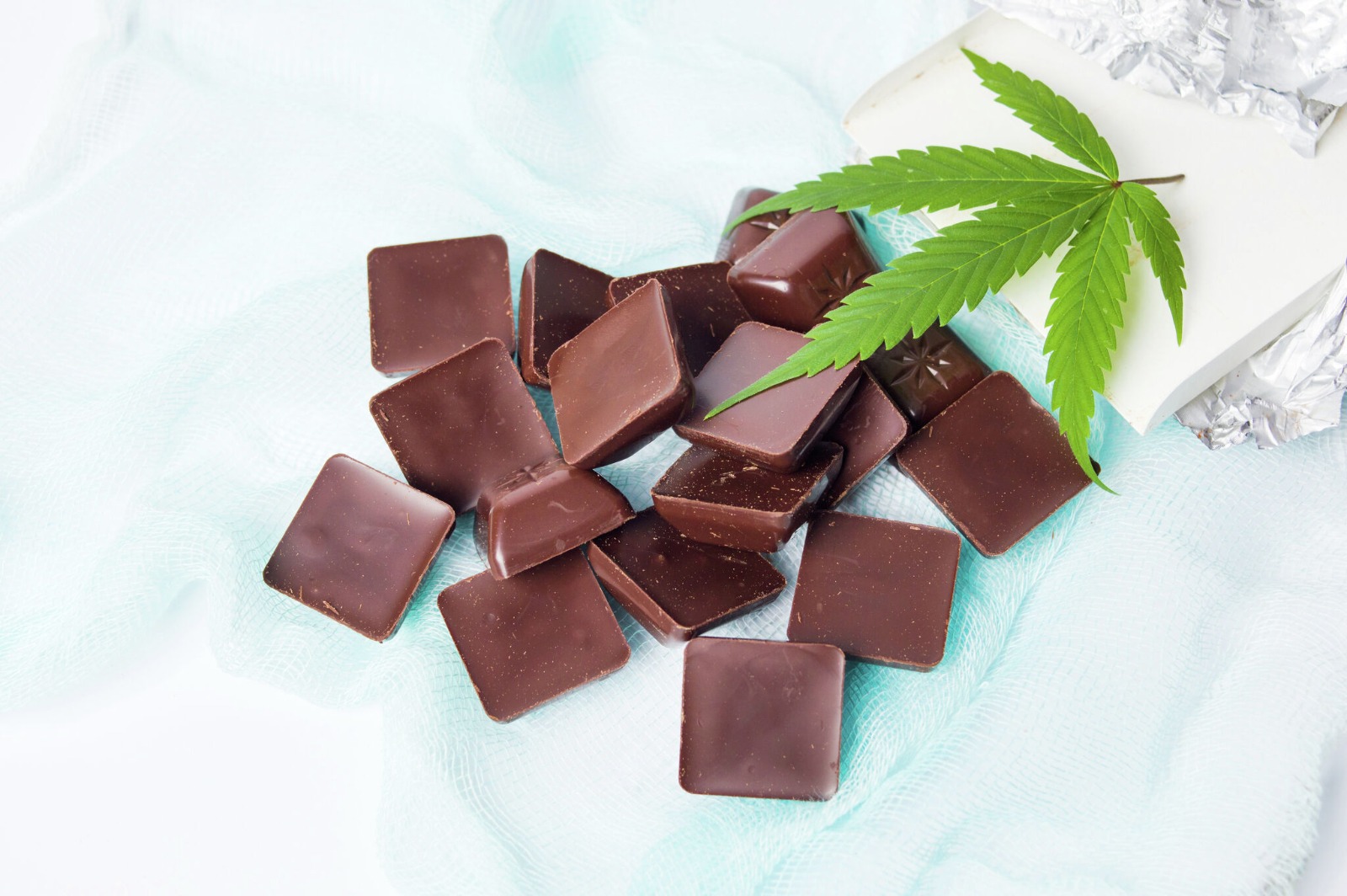 Cannabis club hamburg – Jetzt Mitglied werden