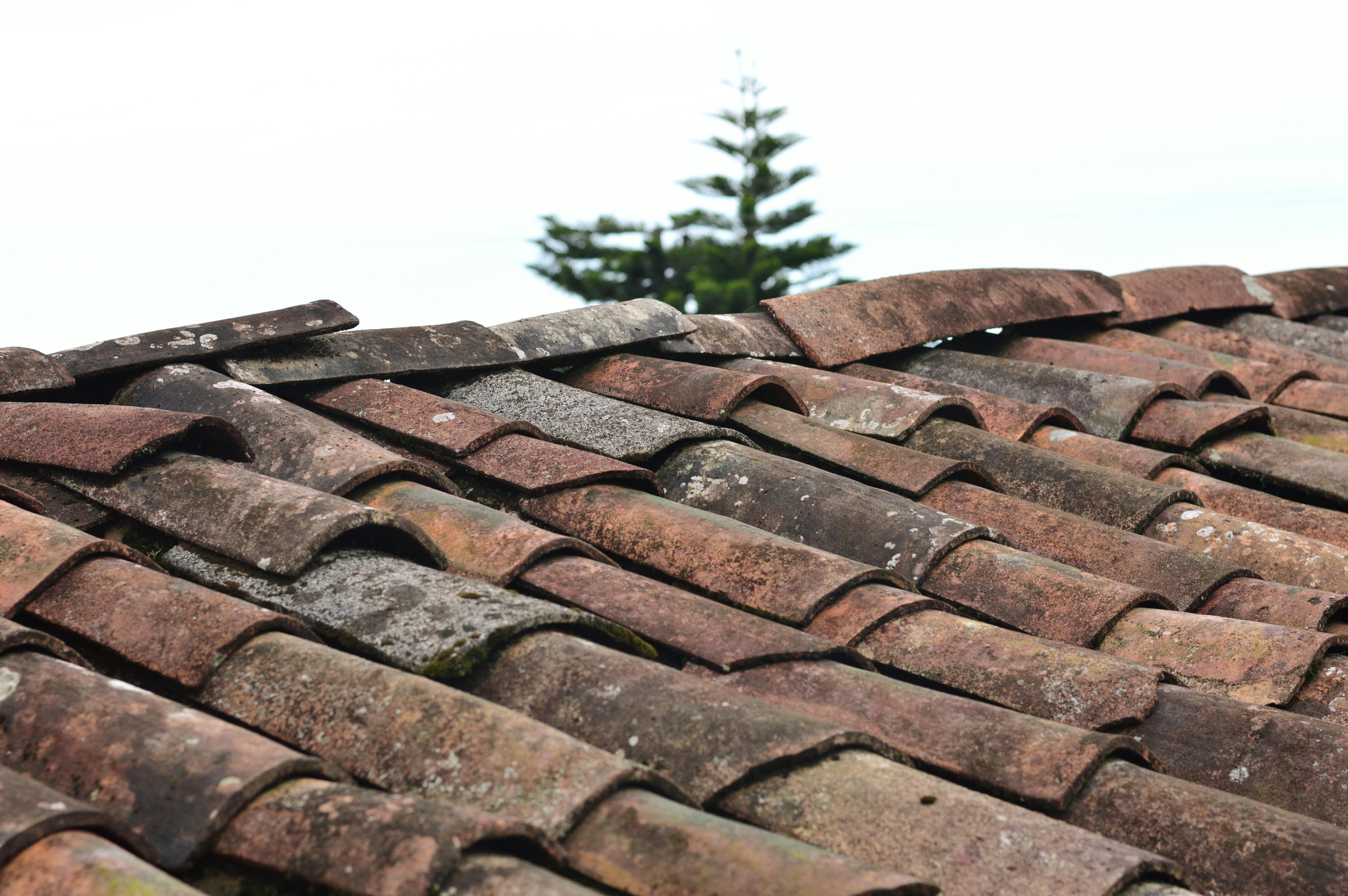 Standing Seam Metal Roof Installation in Calgary &amp; BC