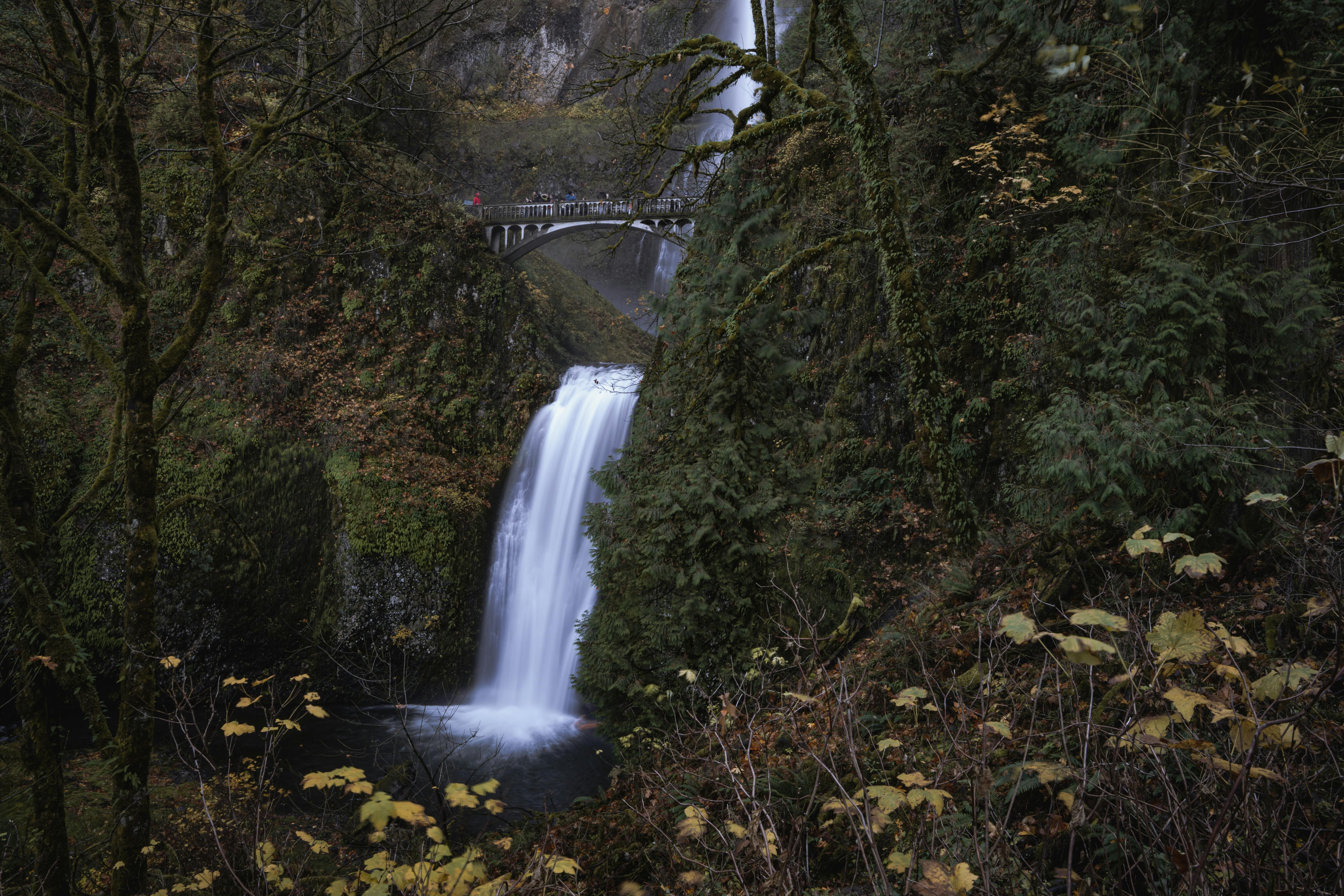 Multnomah Falls Columbia River Gorge Oregon: The Best Way to Experience It