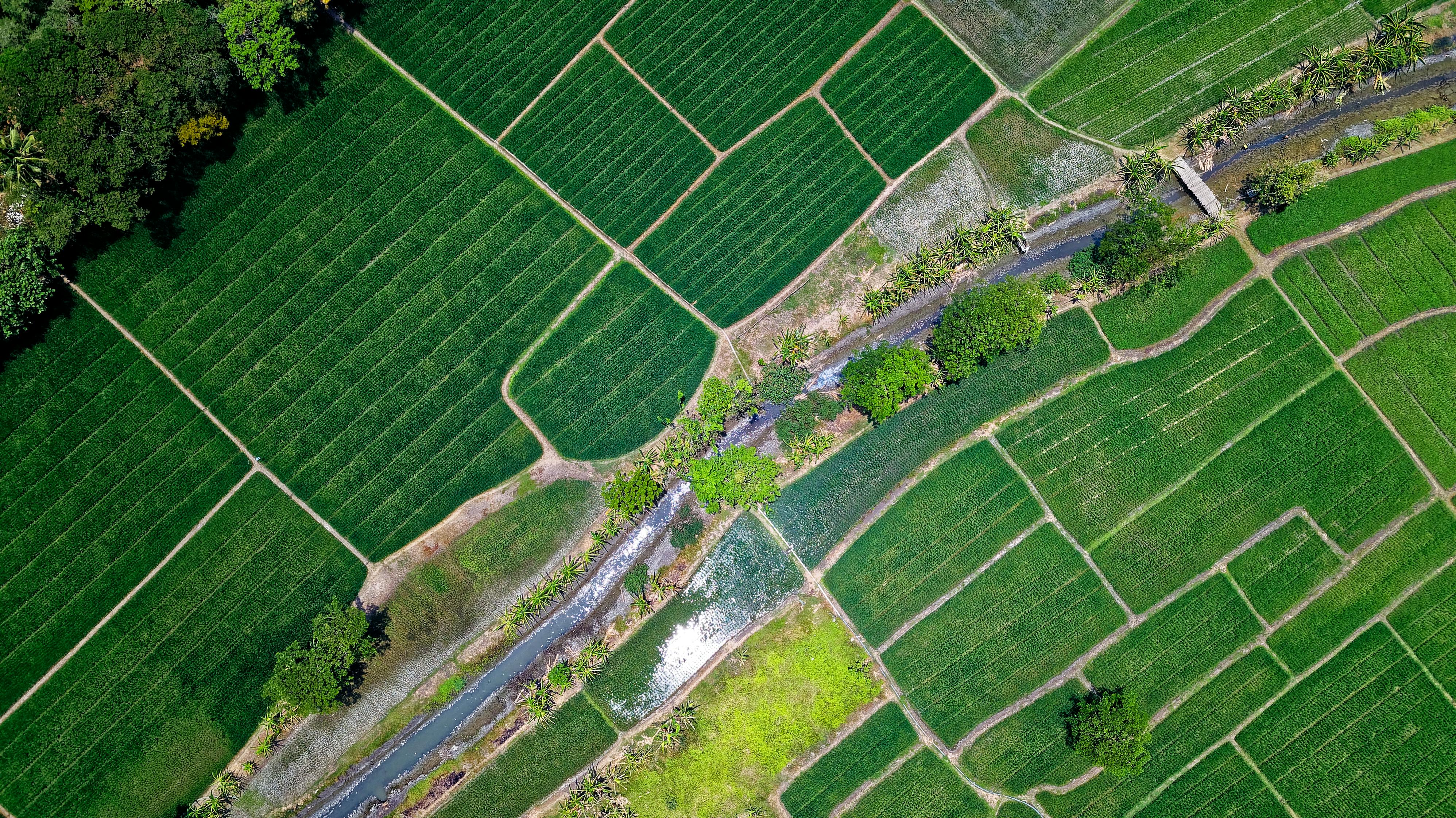 TRANSFORM YOUR YARD WITH PROFESSIONAL IRRIGATION SERVICES IN ARLINGTON, TX