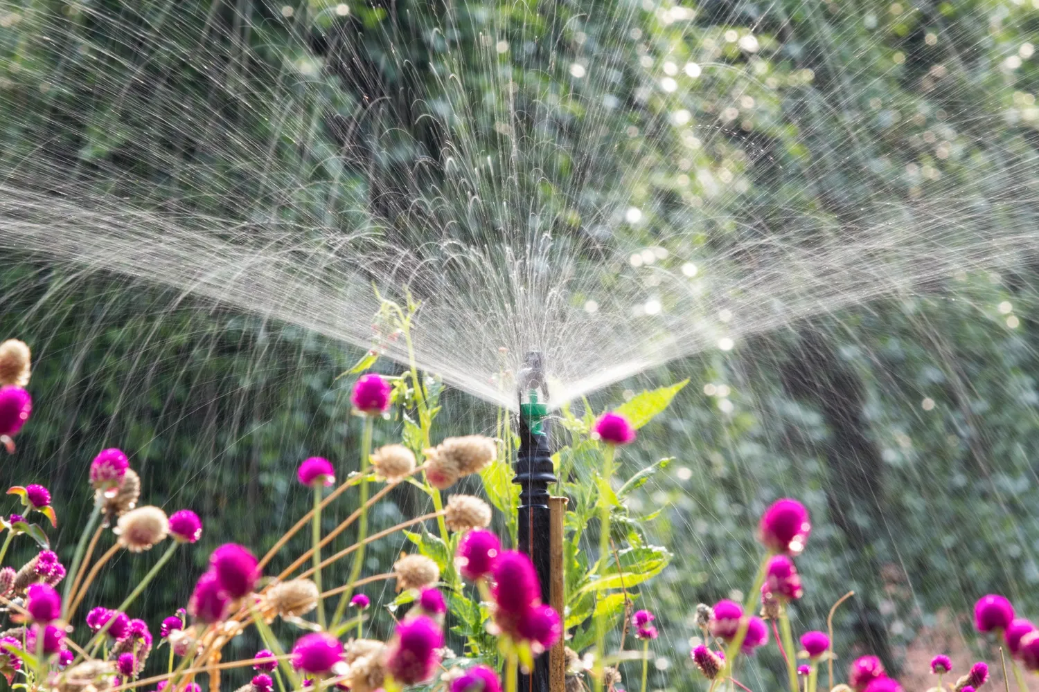 Professional Irrigation Services in Springtown, TX for Repairs and Installations