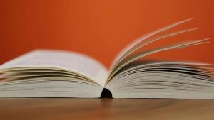 WhatsApp Image 2025-10-14 at 4.51.24 PM