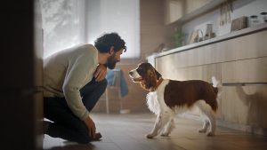 WhatsApp Image 2025-11-13 at 4.21.47 PM (15)