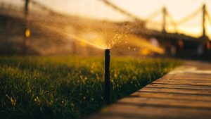 photo-of-a-sprinkler-near-the-grass